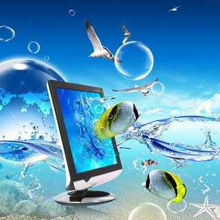 Personal computer wallpaper