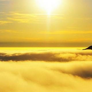 Yellow sunset wallpaper