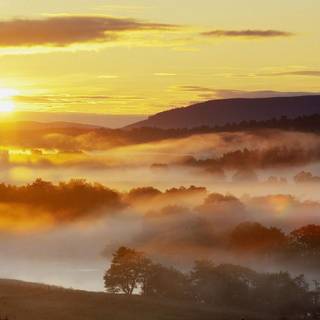 Yellow sunset wallpaper