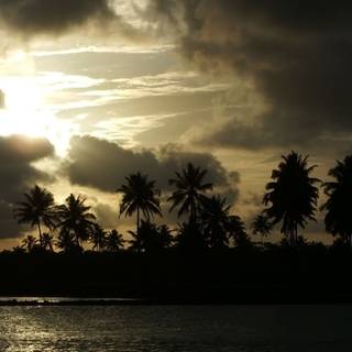 Yellow sunset wallpaper