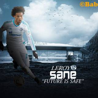 Sane wallpaper
