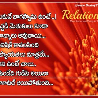 Life partner wallpaper