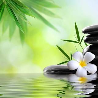 Relaxing spa wallpaper