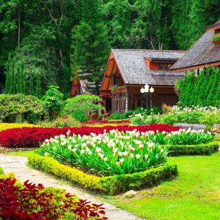 Home garden wallpaper