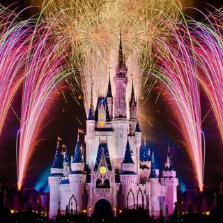 Disney World 4k wallpaper