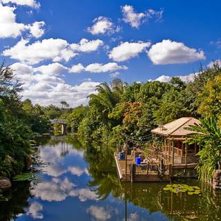 Disney World 4k wallpaper