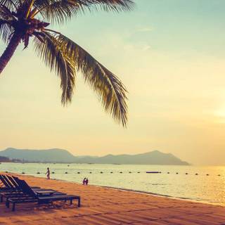 Sunrises summer wallpaper