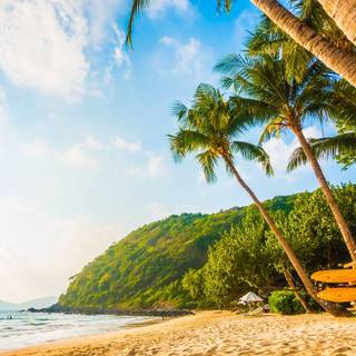 Sunrises summer wallpaper