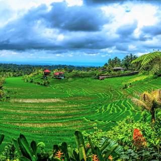 4k Indonesia wallpaper