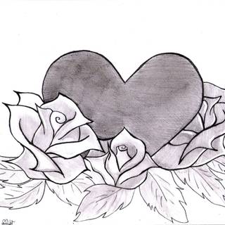 Pencil drawing 4k wallpaper