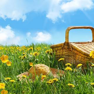 Basket summer wallpaper