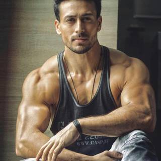 Tiger Shroff Baaghi 2 wallpaper