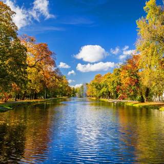 River view wallpaper