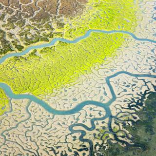 River view wallpaper