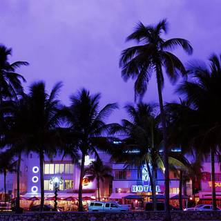 Miami summer wallpaper