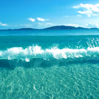 Summer paradise wallpaper