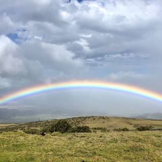 4k rainbow nature wallpaper