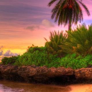 Summer paradise wallpaper