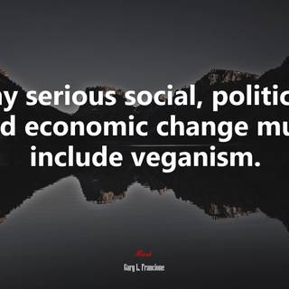 Politic 4k wallpaper