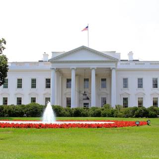 White House 4k wallpaper