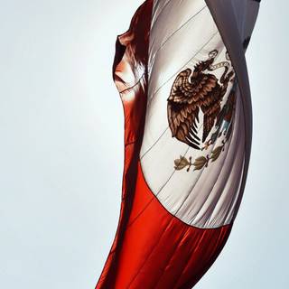 Mexico flag 2021 wallpaper