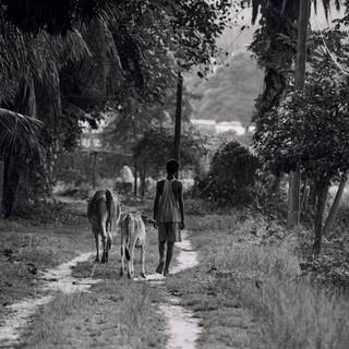 Alone walking 4k wallpaper