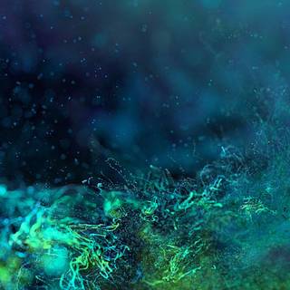 Green iPhone 4k wallpaper