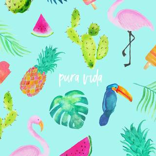Summer Pura Vida wallpaper