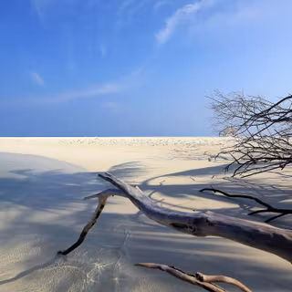 3440x1440 summer wallpaper