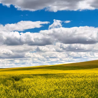 3440x1440 summer wallpaper