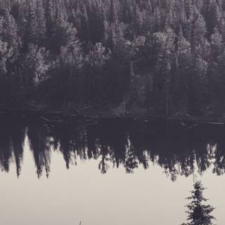 4k mobile white wallpaper