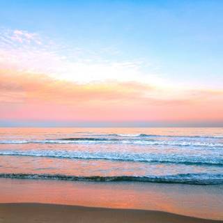 Pastel nature 4k wallpaper