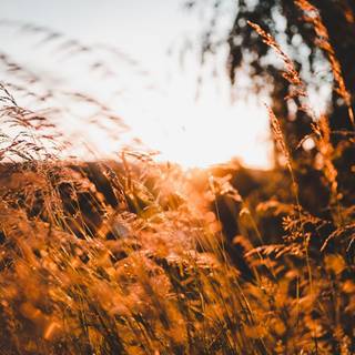 Summer sunset mountain wallpaper