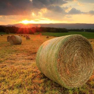 Summer valley wallpaper