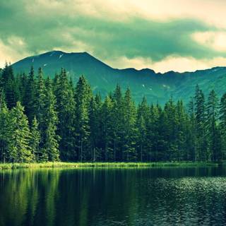 Outdoor summer lake wallpaper