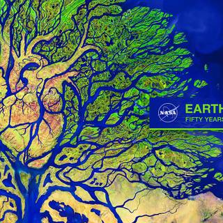 2021 Ocean Day wallpaper