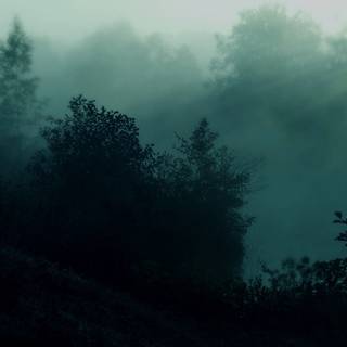 Aesthetic green laptop wallpaper