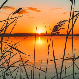 4K iPhone sunset wallpaper