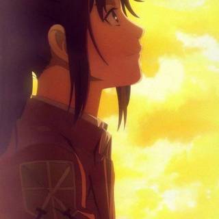 Sasha Braus icons wallpaper