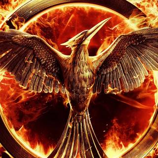 The Hunger Games Mockingjay wallpaper