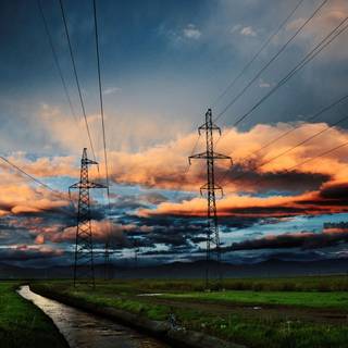 Distribution wallpaper