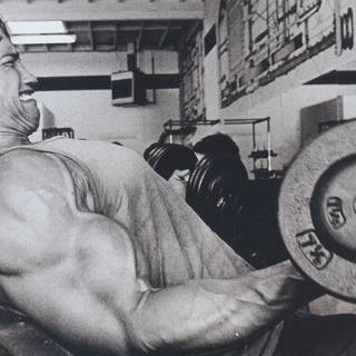 Arnold gym wallpaper