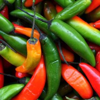 Green chilli wallpaper