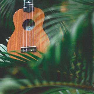 Ukulele 4k wallpaper