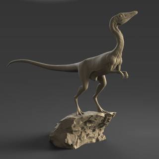 Compsognathus wallpaper