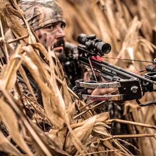 Crossbow desktop wallpaper