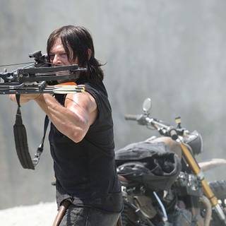 Crossbow desktop wallpaper