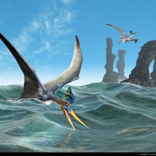 Pteranodon wallpaper