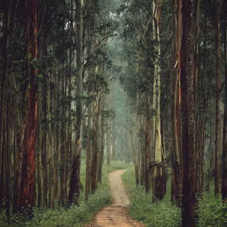 India 4k mobile wallpaper