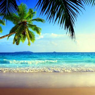 3840x2160 summer wallpaper